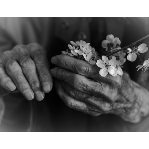 Talleres para formadores