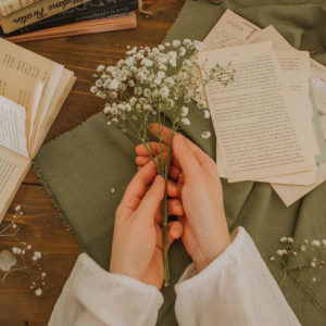 Taller DECALOGO DE OPCIONES